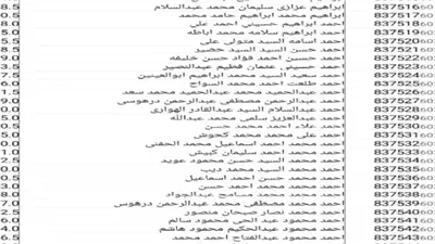 600 طالب جابوا أكتر من 90%.. قصة عجيبة وراء مدرسة الصالحية 