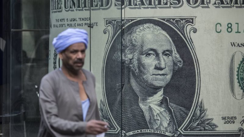 سعر الدولار اليوم