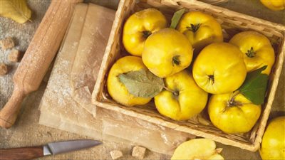 السفرجل الفاكهة السحرية لها ٦ فوائد مذهلة ستغير مجرى حياتك اعرف حكايتها وفوائدها واشتريها الان