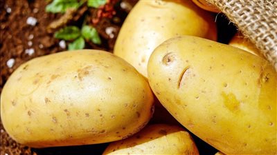 بـ 10 جنيه كيلو البطاطس نزلت السوق خلاص ووزارة الزراعة تزف اليكم الخبر اشتريها الآن