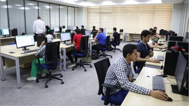 تقليل الاغتراب والتحويلات