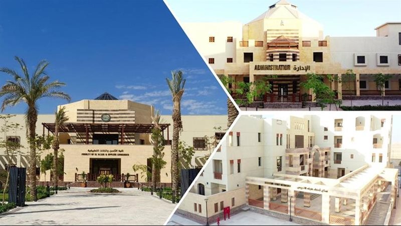 تنسيق جامعة الملك