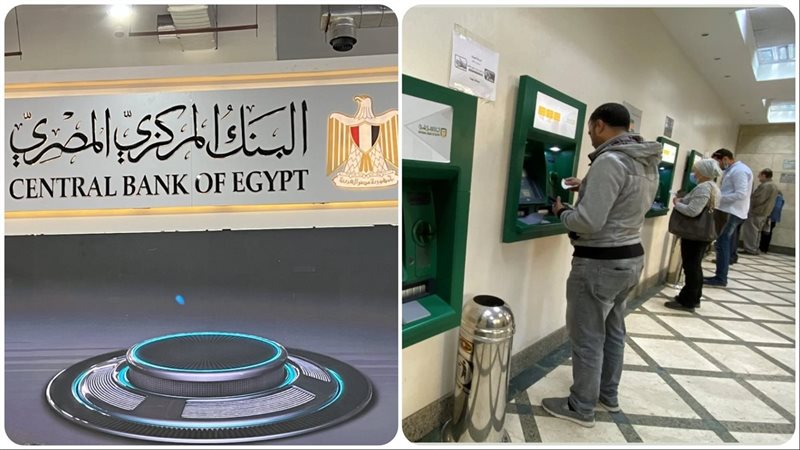 تعديل مواعيد تغذية