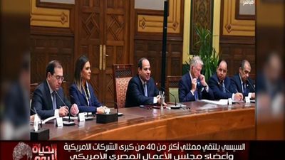 بالفيديو | شاهد تفاصيل لقاء السيسي مع ممثلي أكثر من 40 من كبري الشركات الامريكية