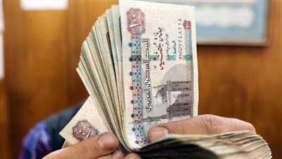 هدية الدولة لهذه الفئات 20 ألف جنيه تقسط فورا في هذه الحالات المالية تزف نبأ سار للسيدات