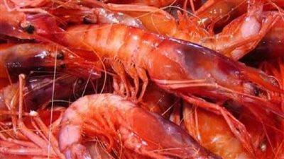 سعر لا يصدق لـ جمبري الفراولة بسبب مسلسل مني زكي