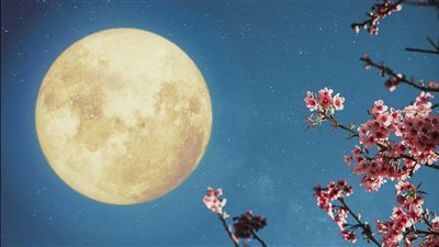 ماذا تعرف عن موعد العرض السماوي الذي سيحدث في القاهرة الساعة 9؟