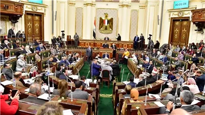 نائب حزب النور يقدم مقترح غريب لمجلس النواب ويتلقى الرفض.. اعرف التفاصيل