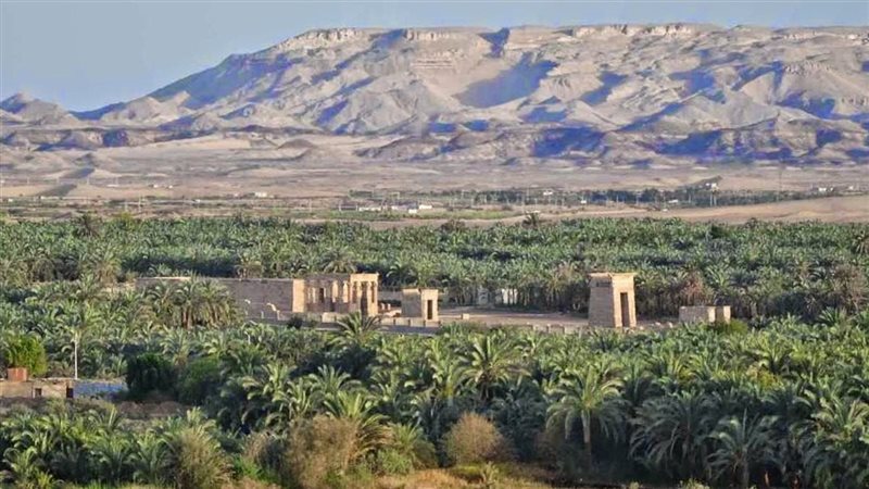 أزمة سكان الوادي