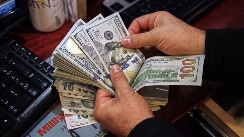 سعر الدولار اليوم
