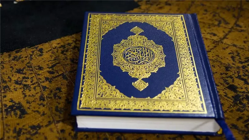 من هم عائلة عنتر
