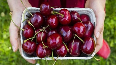 كنز محدش يعرفه  فوائد الكرز الرهيبه لا يتوقعها احد لن تتخيل ما يفعله لصحتك