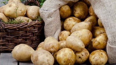  الكيلو 10 جنيه مفاجاة ينتظرها المصريين بشأن اسعار البطاطس بعد ارتفاع غير مسبوق