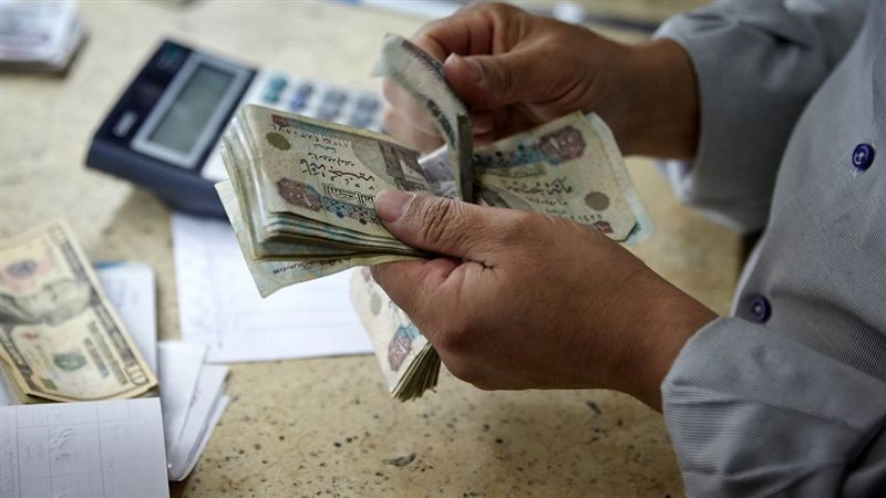 تفاصيل شهادة الحصاد