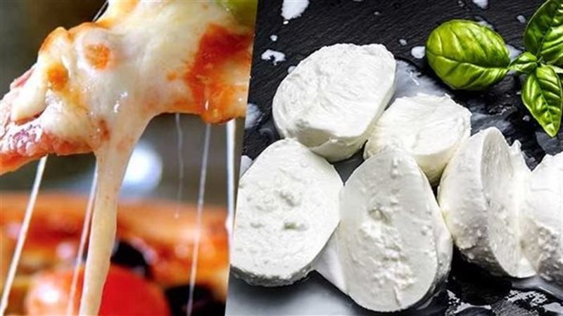 الجبنة الموزاريلا