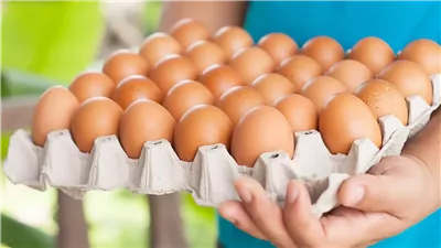 سعر كرتونة البيض اليوم الأربعاء ١٣نوفمبر تفاجئ الجميع بعد وصول البيض التركى فى الاسواق المصرية