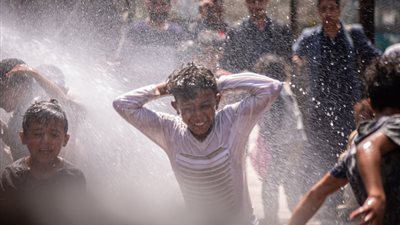 ثعابين الصيف احذروا منها مع ارتفاع درجات الحرارة....رئيس قسم الارشاد البيطري يطلب من الجميع أخذ الحيطة والحذر