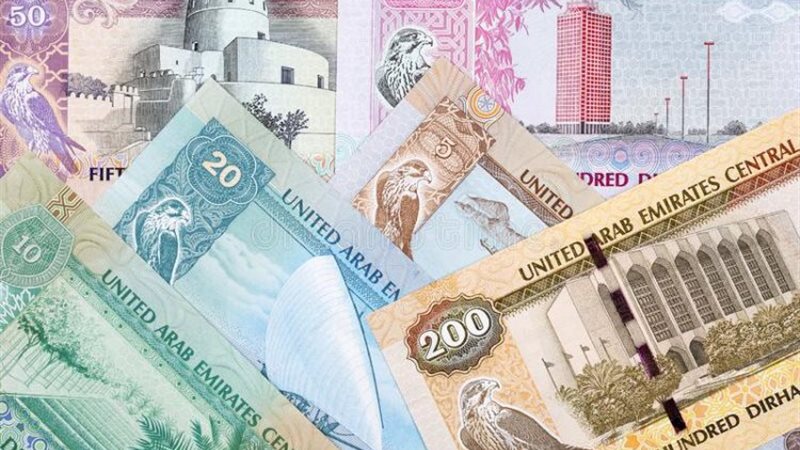 الدرهم الاماراتي