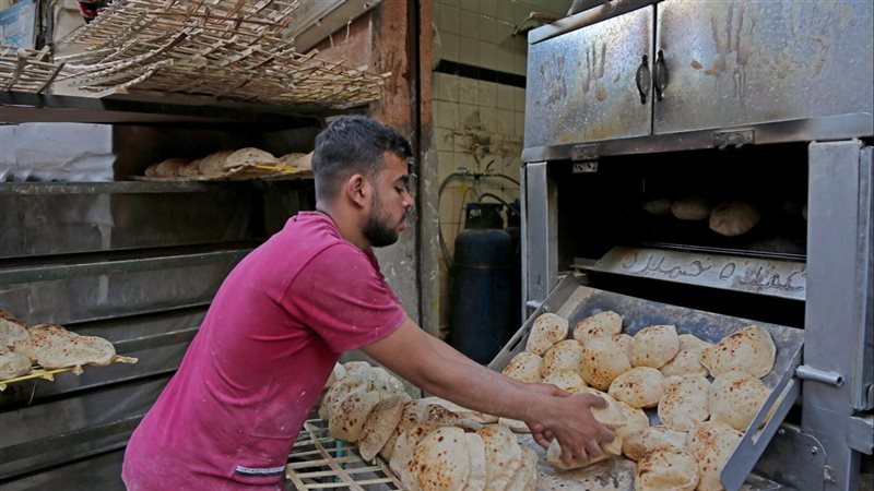 هل سعر الخبز يتأثر
