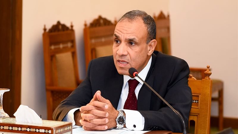 وزير خارجية مصر