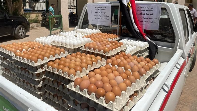 منافذ وزارة الزراعة