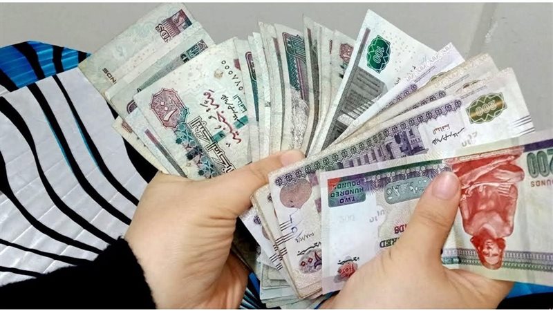 شهادات