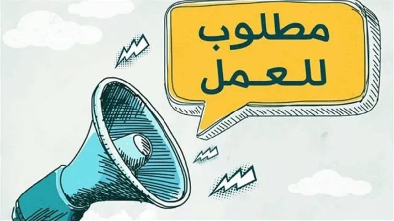 3 ألف وظيفة للشباب