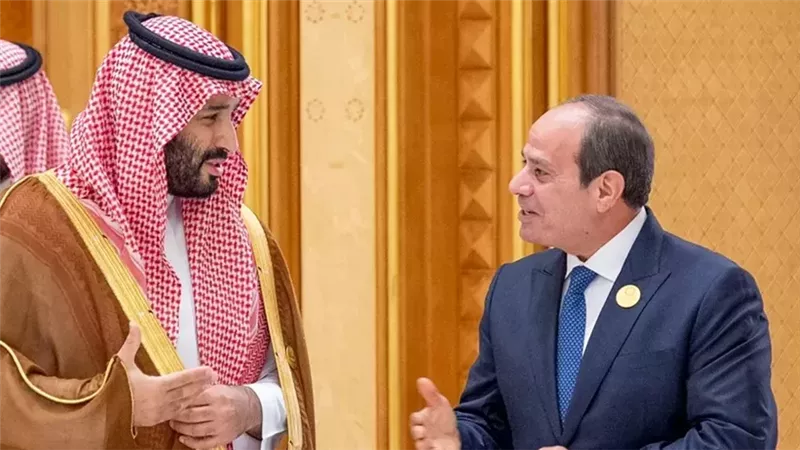 الرئيس السيسي وولي