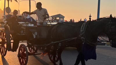 بعد زيادة أسعار البنزين .. رد رسمي من الحكومة علي اعتماد 