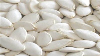 بذور اللب الابيض وفوائده الصحيه على صحة الإنسان وتأثيرها المذهل على القلب والكوليسترول سيفاجئك