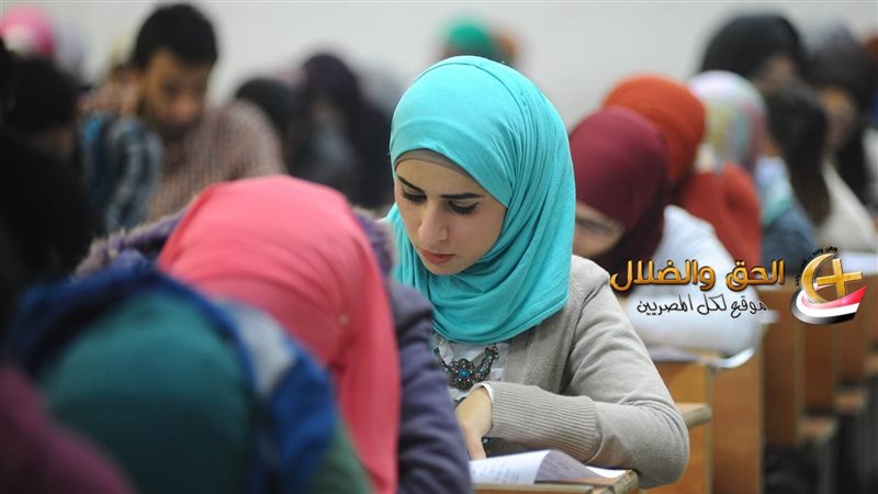 جمع كلمة «أنف»
