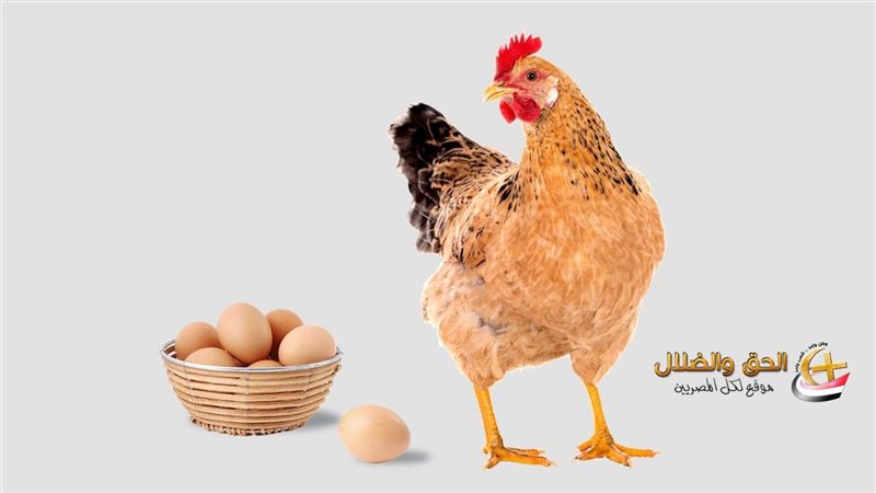 «أيهما جاء أولًا..