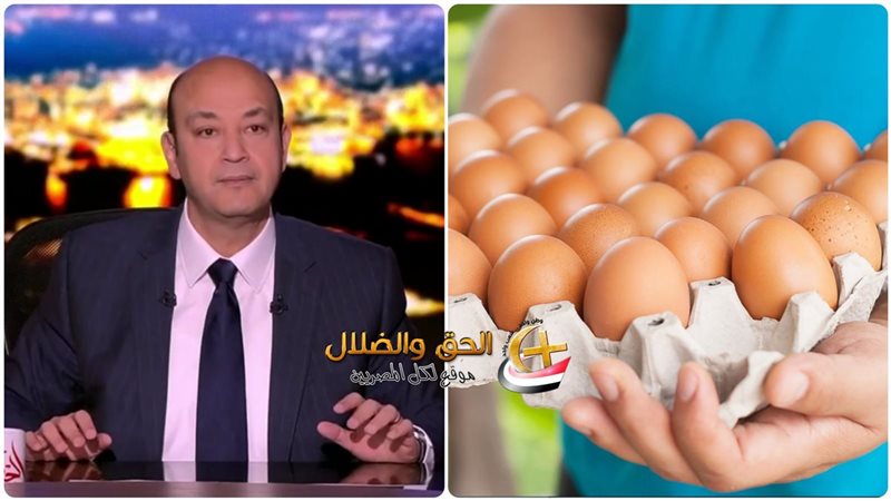 استيراد البيض من