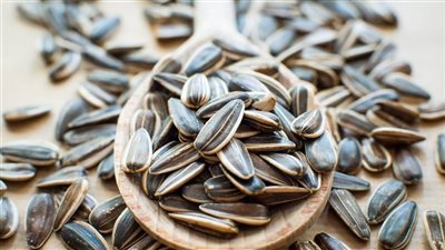 فوائد اللب السوري.. مش بس للتسلية ده فيه فوائد مكنتش تتخيلها