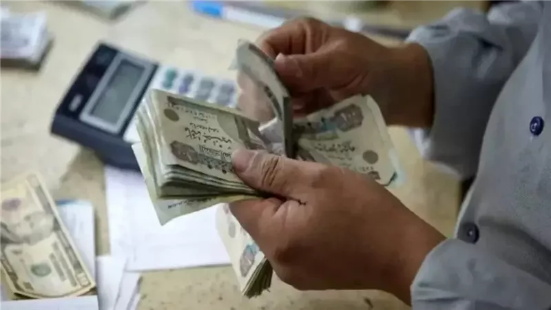 معاشات نقابة المهندسين