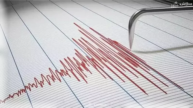 دقة المعلومات المتداولة