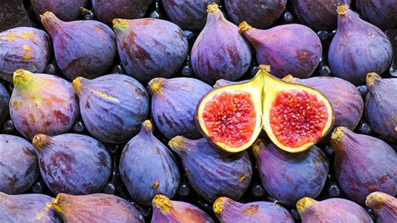 الفوائد الصحية للتين