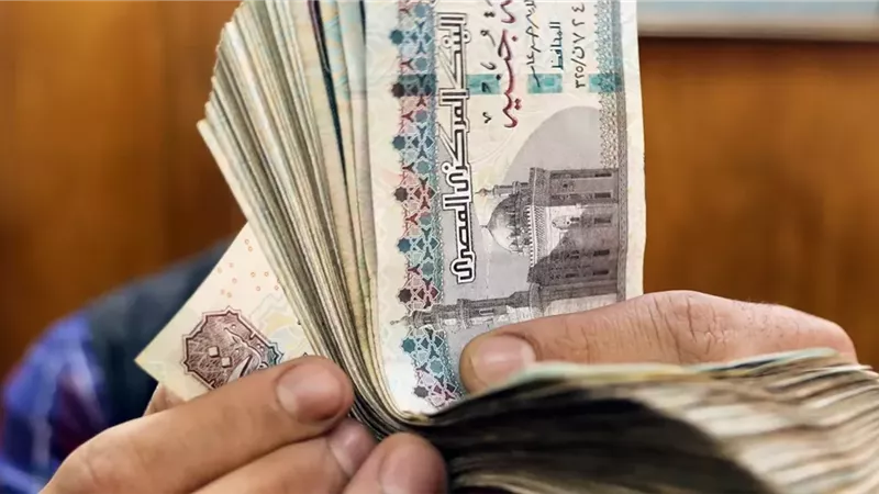 بدل المعاش اتنين..