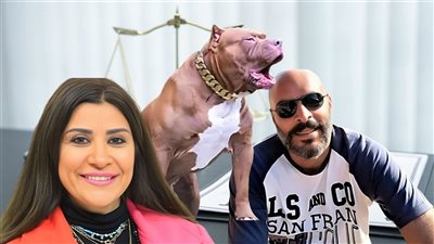 السبب كلب بيتبول.. زوج الإعلامية أميرة أبو شنب يدفع تعويض مالي 30 مليون جنيه 