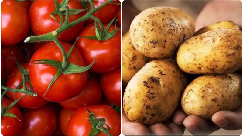 أسعار الطماطم والبطاطس