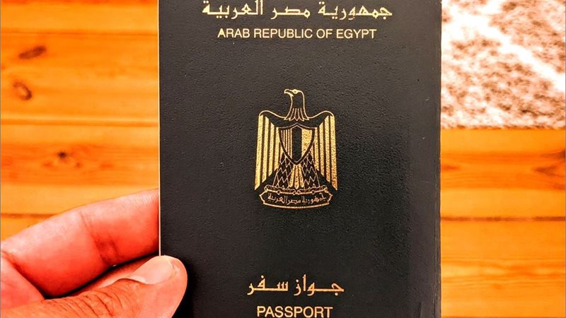 الدول المسموح دخولها