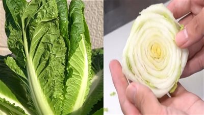 فوائد سحرية ومذهلة للكابوتشى....أبرزها حماية الكبد والكلى وفقدان الوزن ومقاومة أخطر الأمراض