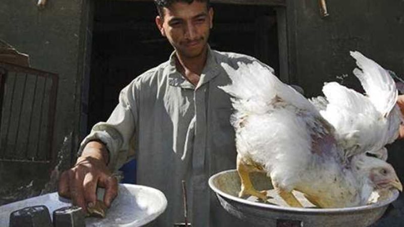 صورة ارشيفية