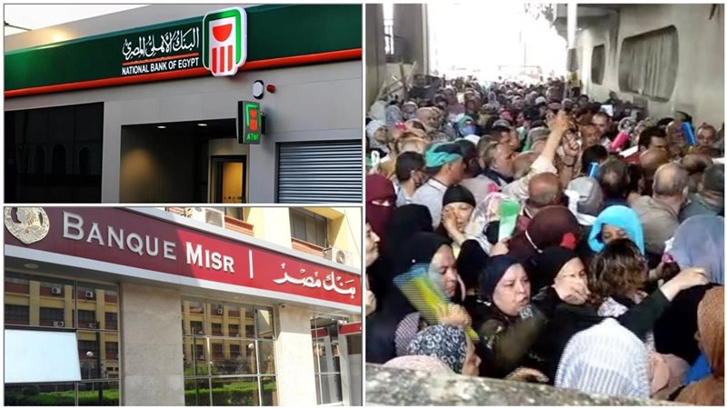 حقيقة إصدار شهادة