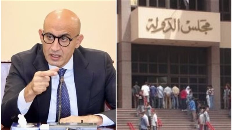محكمة القضاء الإداري