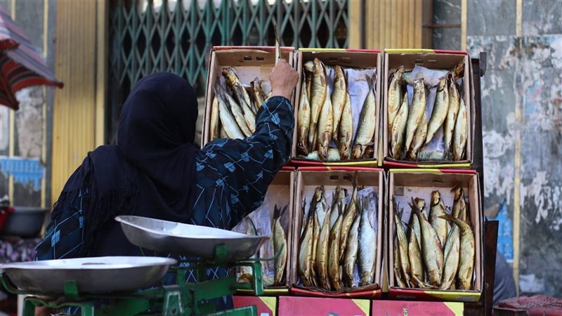 ضبط 118 كرتونة سمك
