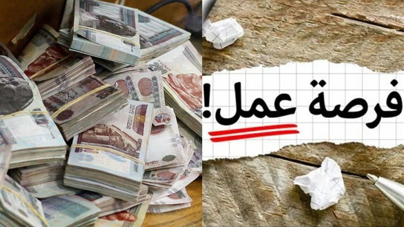 فرص عمل