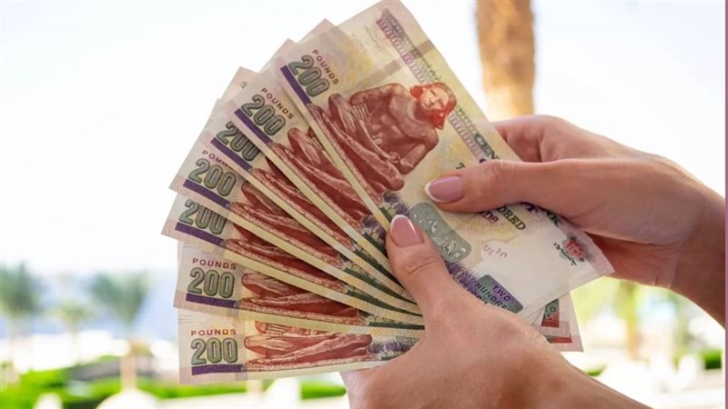 الفئات المستحقة للدعم