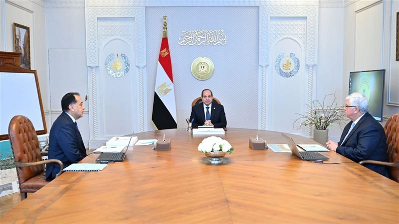 الرئيس السيسي واجتماع