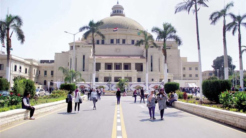 الجامعات